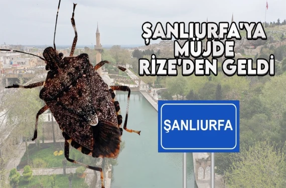 Müjde yüzlerce kilometre öteden geldi