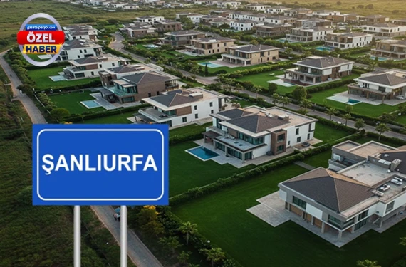 Parası olanlar kapışıyor
