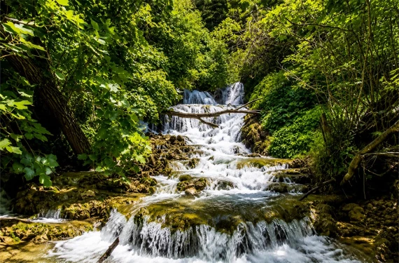 İşte 6 piknik alanı