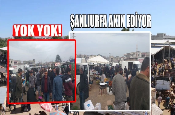Ne ararsan var…