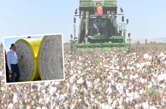 Şanlıurfa’nın stratejik ürününe önlem