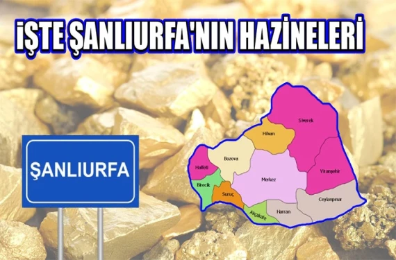 Hangi ilçede ne var?