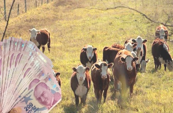 Bakanlıktan rekor destek