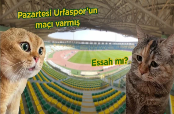 Maça davet var