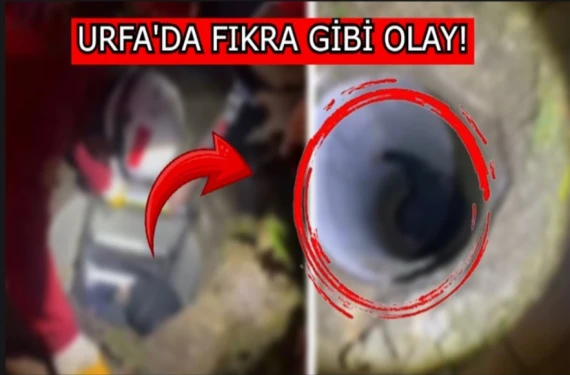 Bakın neye mal oldu?