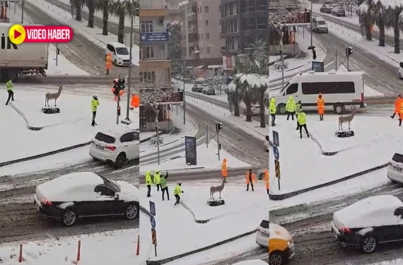 Şanlıurfa’da karla gelen eğlence!