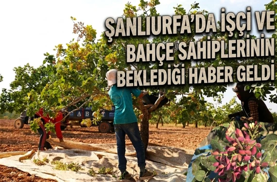 İşte yeni sezon fiyatı