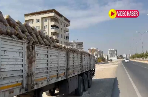 Bedavadan biraz pahalı