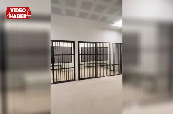 Görenler inanamadı