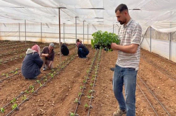 Şimdi kendi seralarının patronu…