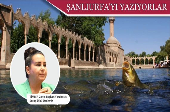 Serap Ülkü Özdemir: