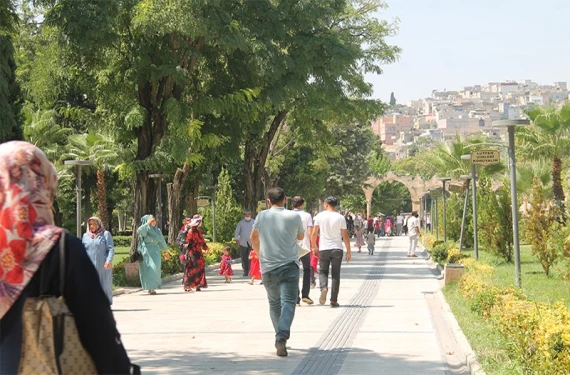 Cuma planınızı iptal edin: