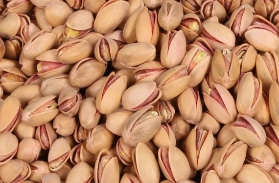 Almanya sınırdan çevirdi