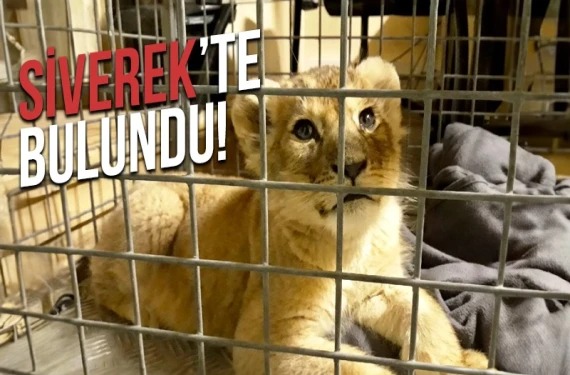Türkiye gündemine oturmuştu!