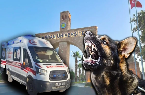 Şırnaklı öğrenci hayatını kaybetti