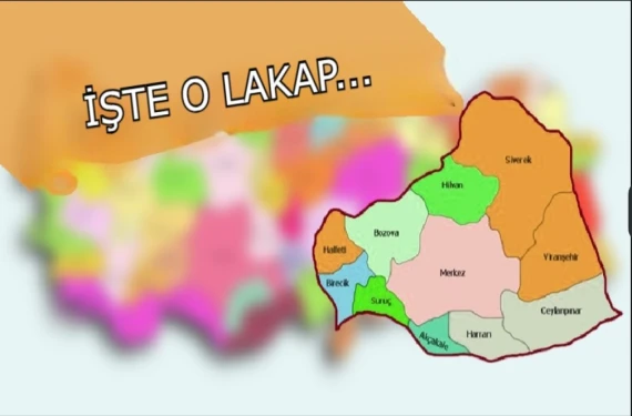 Sosyal medya