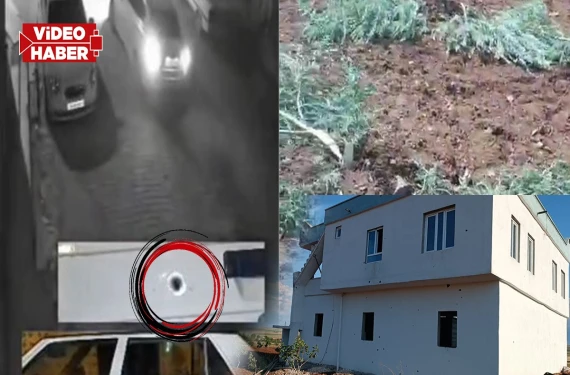 Ev ve fıstık ağaçları da önceden tahrip edilmişti