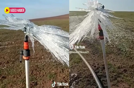 Donmuş halde buldu...