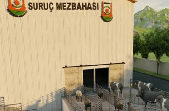 Kaçak kesim yapılıyor