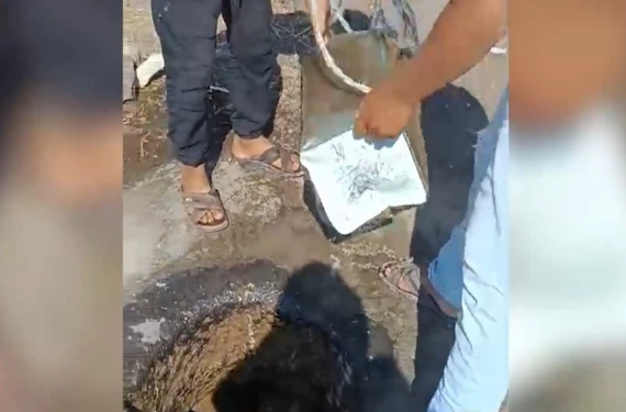 Şanlıurfa’da bu köy 3 aydır susuz!