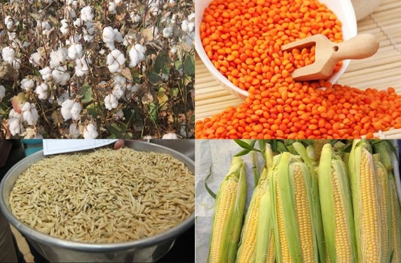 İşte yeni fiyatlar...