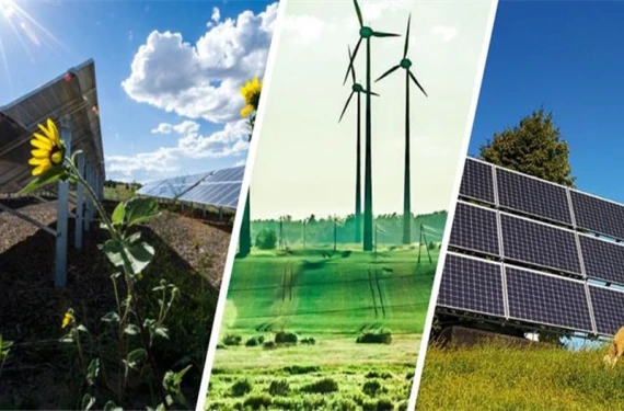 Yenilenebilir enerjide çiftçiler yaşadı!