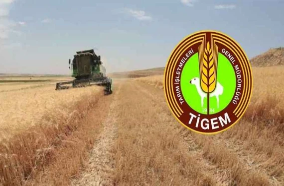 Yem hazırlama tesisi satın alınacak!
