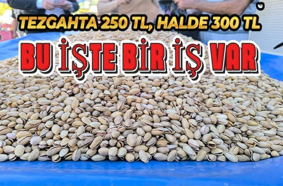 İşte nedeni...