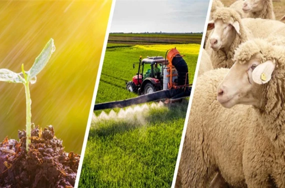 Bakan Yumaklı’dan müjde: