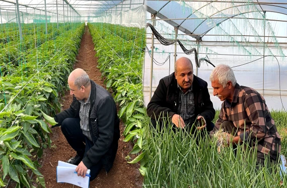 20 yıl önce ilk adımlar atıldı