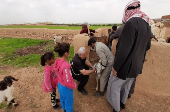 Binlerce hayvana küpe takılıp aşı yapıldı