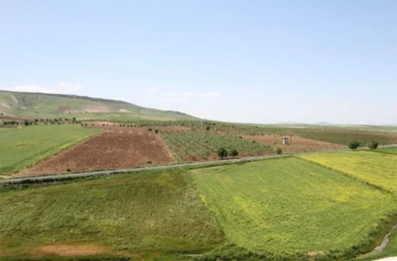 Tarımda komşu iş birliği: