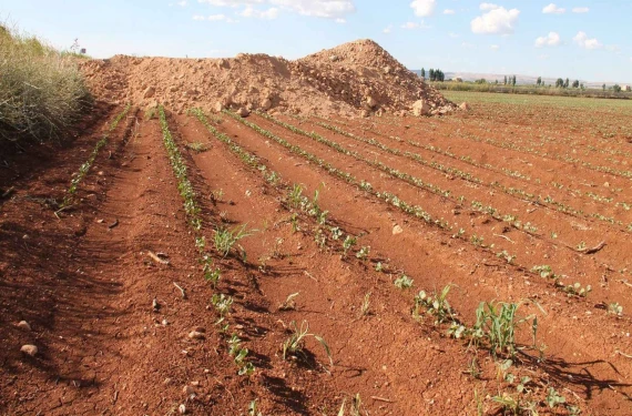 Şanlıurfa'da tespitler tamamlandı: