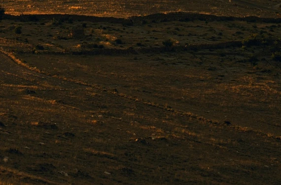 Şanlıurfalı çiftçiler dikkat!