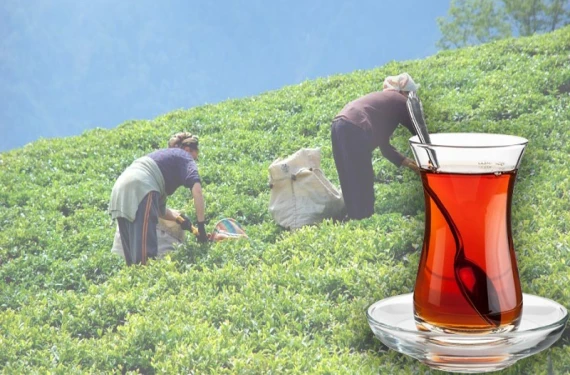 30 yıllık dev şirket iflasın eşiğinde