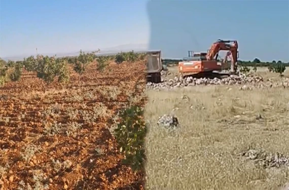 Kıraç alan dururken tarım arazisi