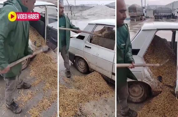 Toros bir zamanların merkebine döndü: