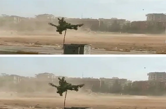 Şanlıurfa'da beklenmeyen misafir: