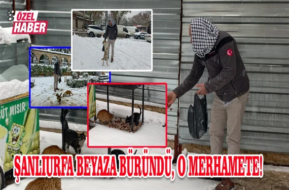 Sebebi görenleri duygulandırdı!