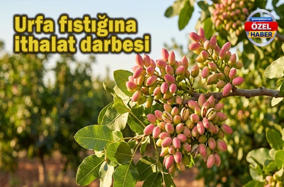 İthalat kapısı değil, ihanet kapısı…