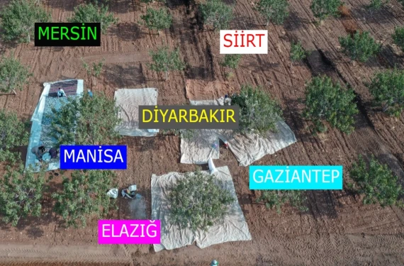 Önce Mersin sonra Elazığ şimdi de Manisa!