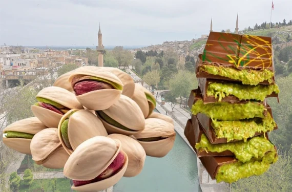 Şanlıurfa ve Gaziantep detayı
