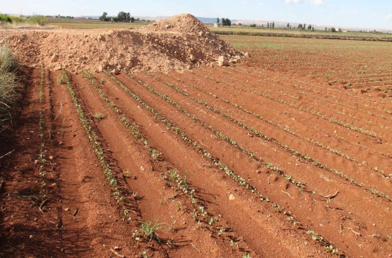 Milyonlarca lira ceza…