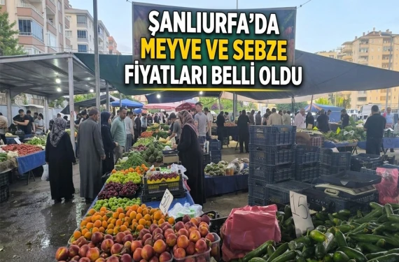 Görenler etiketlere inanamadı