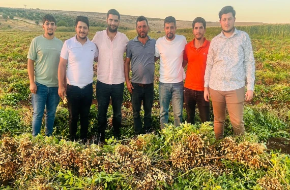 Altın gibi kazandırıyor