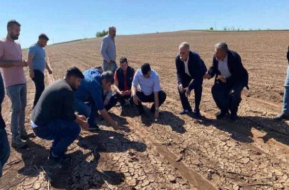 Şanlıurfa’daki çiftçilere flaş uyarı!