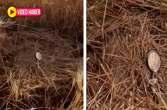 Tarlada düzenek bulundu