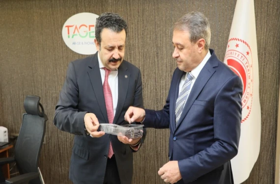 Vali Şıldak: