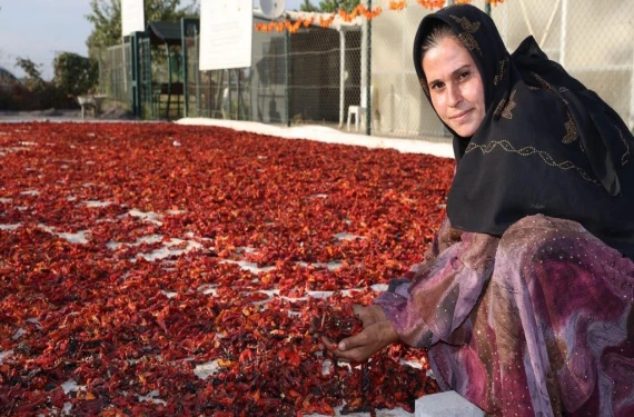 Türkiye'de Şanlıurfa, Şanlıurfa'da o mahalle
