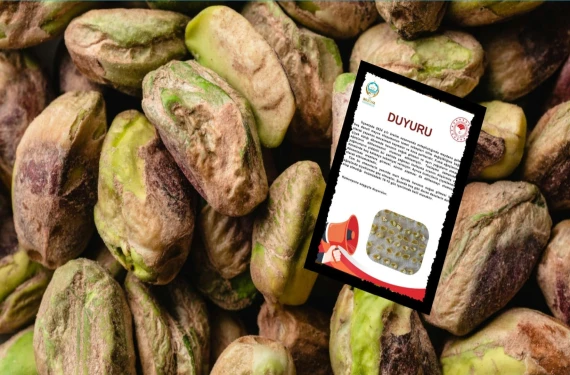 Fıstık üreticileri dikkat: